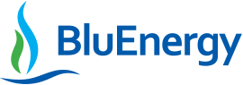 Caldaie a Pellet e Generatori d’Aria Calda a Pellet - Bluenergy Srl